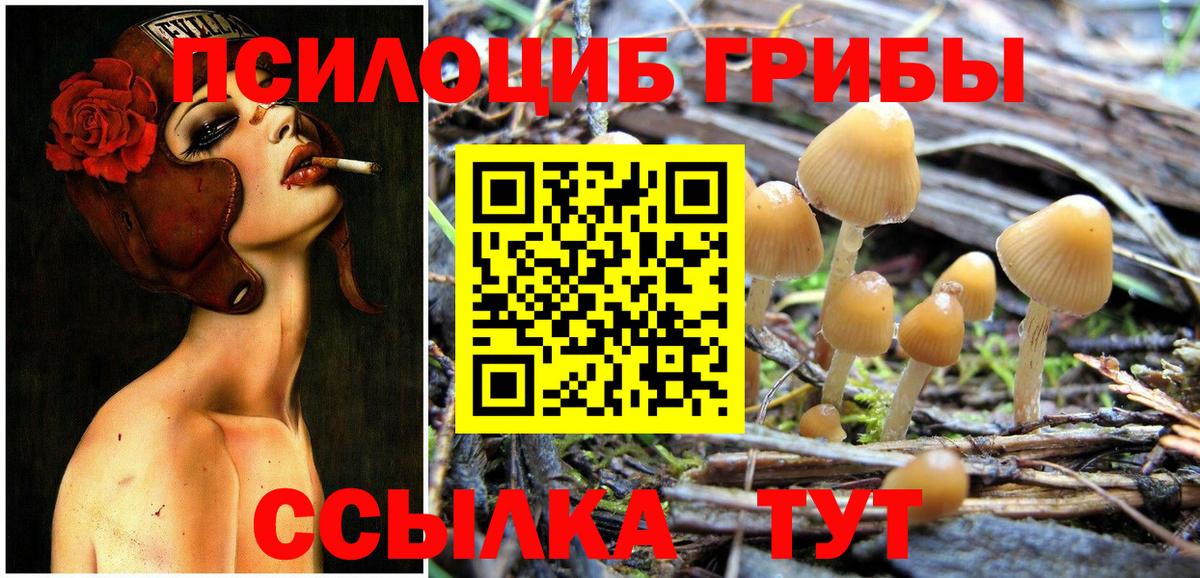 Псилоцибиновые грибы Psilocybine cubensis  Вход с VPN  Усинск 